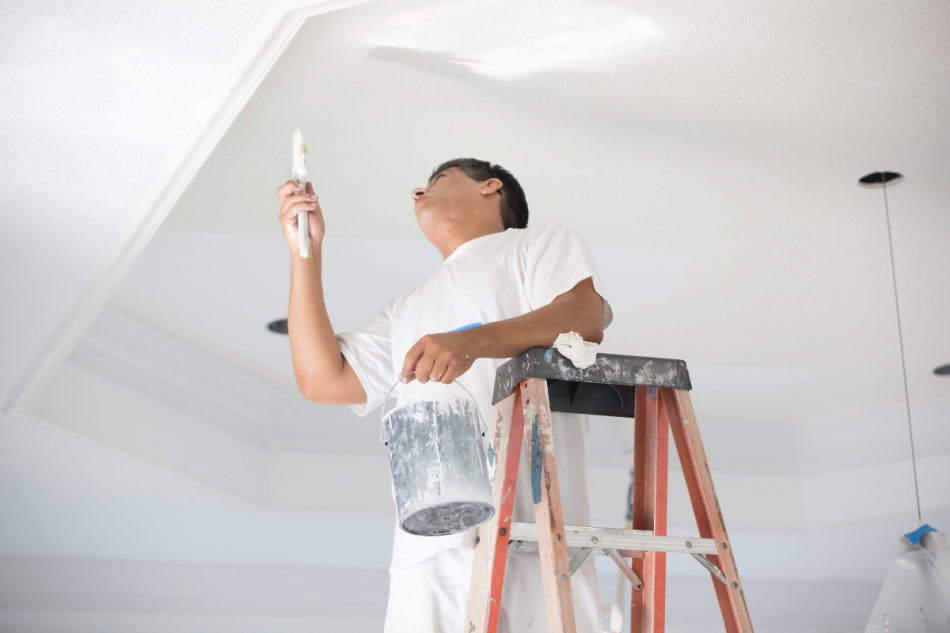 Ceiling & Coving Work